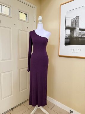 NWT LNA Darby One-Shoulder Dress in Plum Size Large